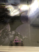 Gargoyles Quest (2024)