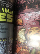 Teenage Mutant Ninja Turtels (NM)