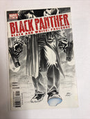 Black Panther (2002)