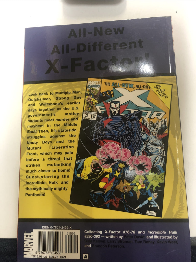 X Factor Visionaries Vol.2 (2007) Marvel TPB SC Peter David