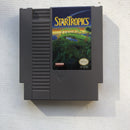 Startropics (Nintendo NES, 2000)