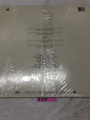 Kym Mazelle Dont Scandalize My Name. Vinyl LP Album