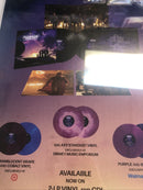 Amazing Spider-Man (2023)