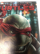 Teenage Mutant Ninja Turtels (NM)