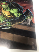 Teenage Mutant Ninja Turtels (NM)