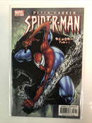 Peter Parker Spiderman (1999) Complete Set