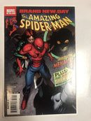 Amazing Spiderman (2008)