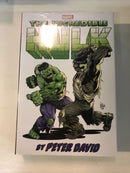 Incredible Hulk by Peter David Omnibus Vol 5