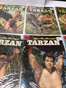 The Tarzan Family (1957) Set Issues 88-98 • Missing