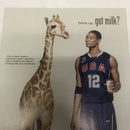 Batman Incorprated (2011)