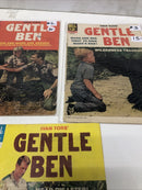 Ivan Tors’ Gentle Ben (1968) Set Issues
