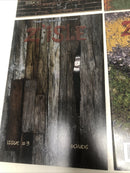 Zisle (2014) Set Issues