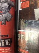 Teenage Mutant Ninja Turtels (NM)