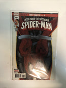 Peter Parker: The Spectacular Spider-Man (2018) Set