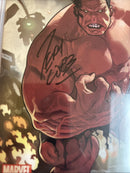 Hulk (2008)