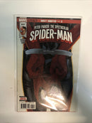 Peter Parker: The Spectacular Spider-Man (2018) Set