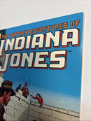 Indiana Jones (1984)