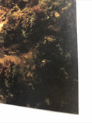 Ultraman The Mystery of Ultra Seven (2022)