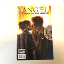 Angel A Hole In The World (2010)