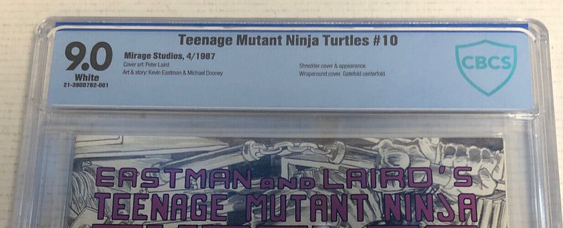 Teenage Mutant Ninja Turtles (1987)