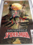 Deadly Neighborhood Spider-Man