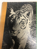 A Tiger Walks (1964) Movie Comics Silver Age • Gold Key • Walt Disney Production