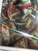 Teenage Mutant Ninja (2024)