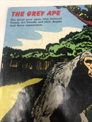 Tarzan’s Jungle World (1959) Variant