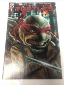 Teenage Mutant Ninja Turtels (NM)