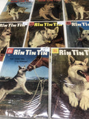 Rin Tin Tin In Logging Trouble • Set Issues