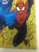 Spider-man (1991)