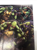 Teenage Mutant Ninja Turtels (NM)
