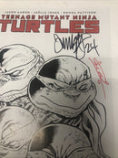 Teenage Mutant Ninja Turtels (NM)