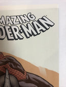 The Amazing Spider-Man (2010)