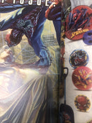 AMAZING SPIDER-MAN (2017) Variant