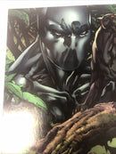 Dark Reign Black Panther (2009)