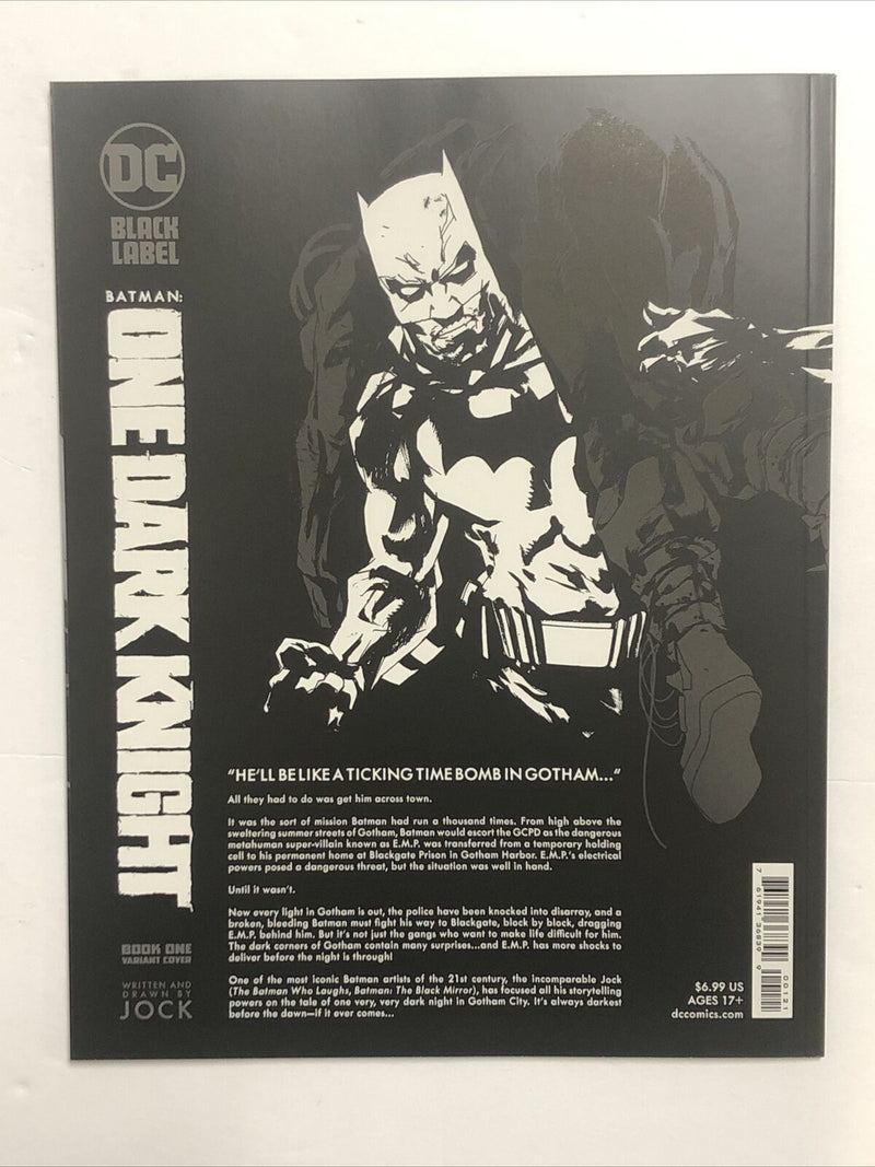 Batman: One Dark Knight Book One Variant Cover(2022) DC SC Jock