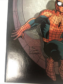 Amazing Spider-man (1999)