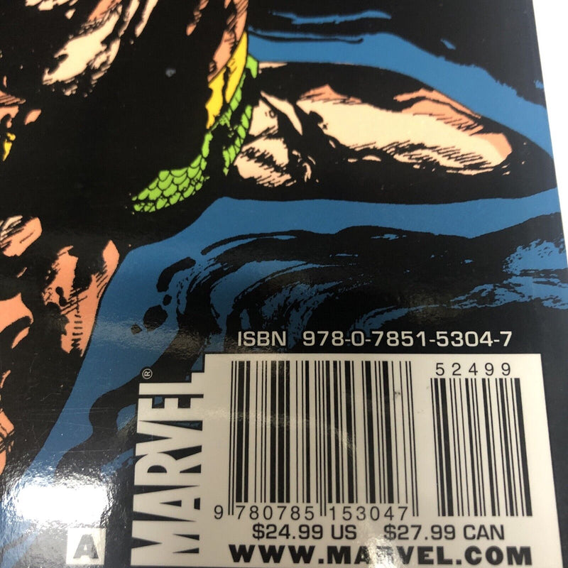 Namor Visionaries TPB (2011) Vol