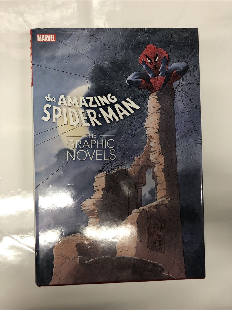 The Amazing Spider-Man (2012) HC Marvel Universe The Graphic Novel •  Stan Lee