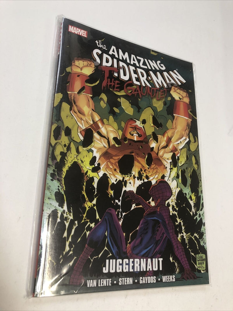 The Amazing Spider-Man The Gauntlet Vol 4: Juggernaut (2011) Marvel TPB Stern