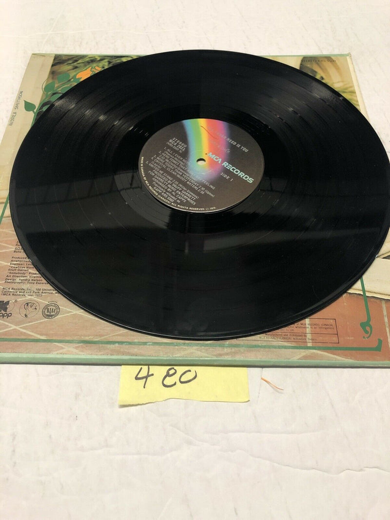 Sonny & Cher All I Ever Need Is You Vinyl LP Album