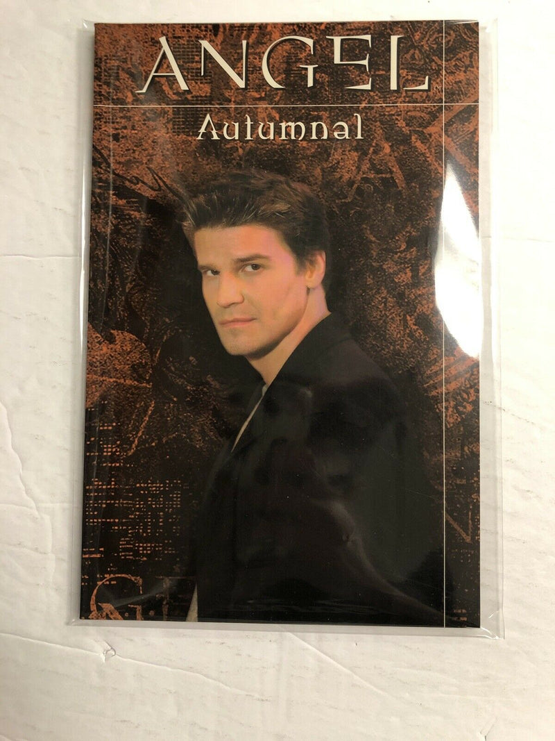 Angel: Autumnal TPB Softcover (2001) Dark Horse