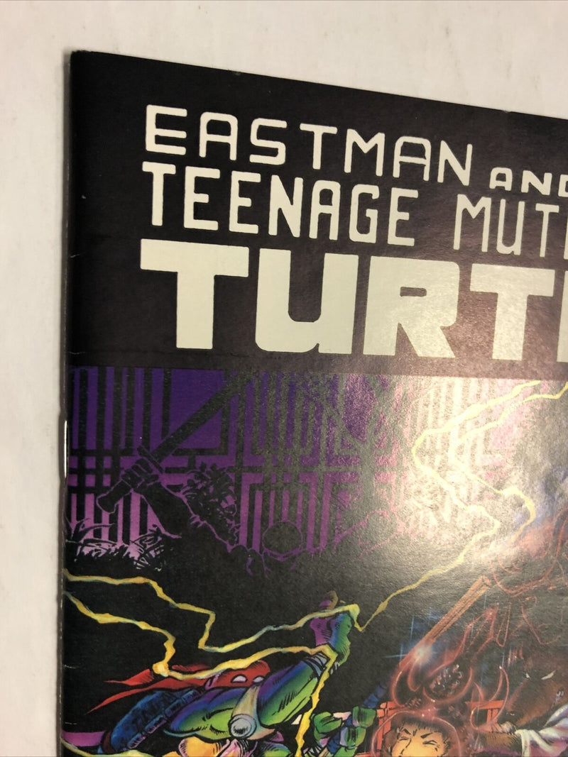 Teenage Mutant Ninja Turtle (1986)